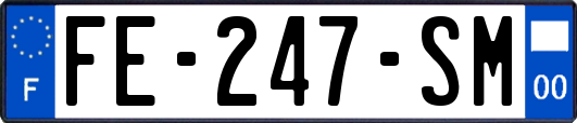 FE-247-SM
