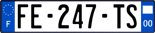 FE-247-TS