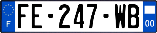 FE-247-WB