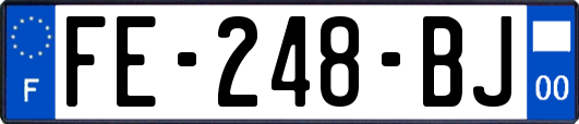 FE-248-BJ
