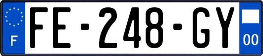 FE-248-GY