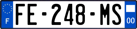 FE-248-MS