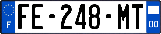 FE-248-MT