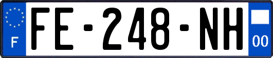 FE-248-NH