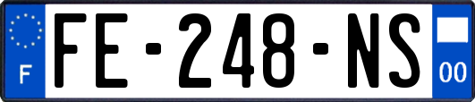 FE-248-NS