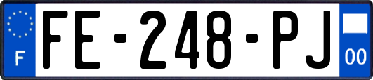 FE-248-PJ