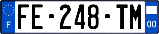 FE-248-TM