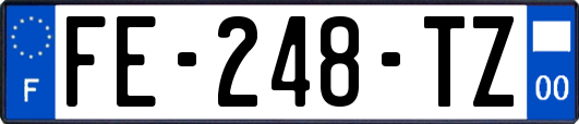 FE-248-TZ