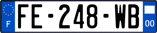FE-248-WB