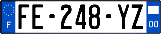 FE-248-YZ