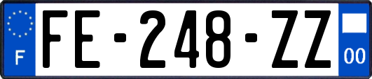 FE-248-ZZ