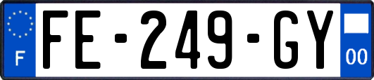 FE-249-GY