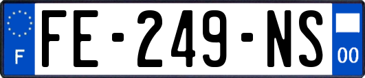 FE-249-NS