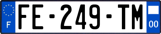 FE-249-TM