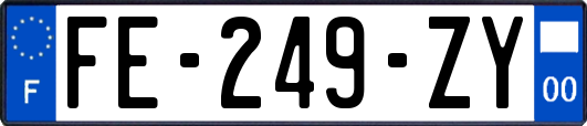 FE-249-ZY