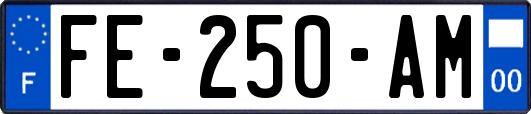 FE-250-AM