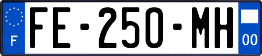 FE-250-MH