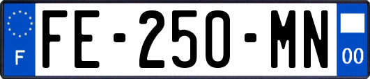 FE-250-MN