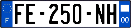FE-250-NH