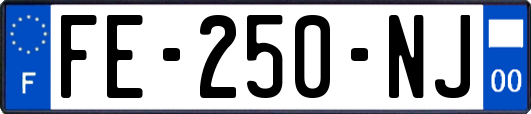 FE-250-NJ