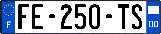 FE-250-TS