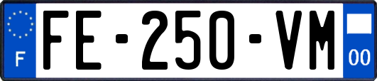 FE-250-VM