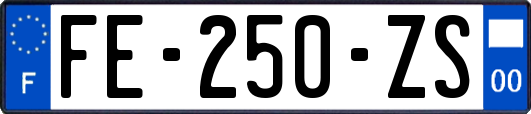 FE-250-ZS