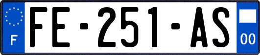 FE-251-AS