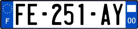 FE-251-AY
