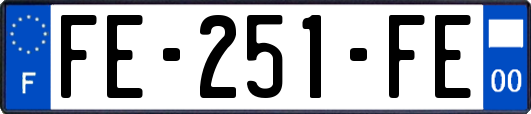 FE-251-FE