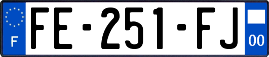 FE-251-FJ