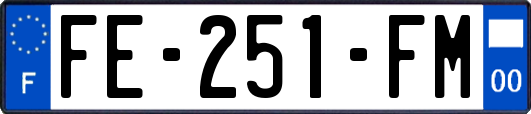 FE-251-FM