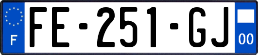 FE-251-GJ