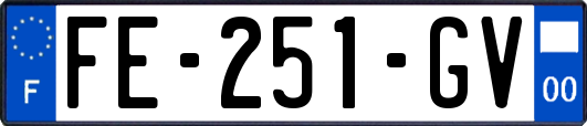 FE-251-GV