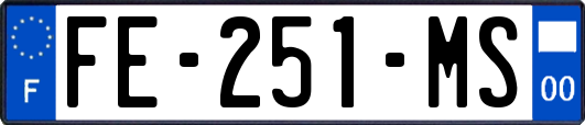FE-251-MS