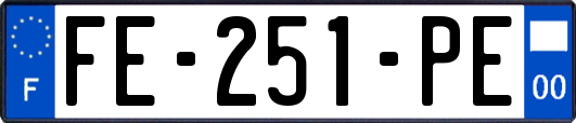 FE-251-PE