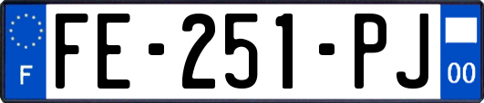 FE-251-PJ