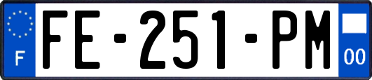 FE-251-PM