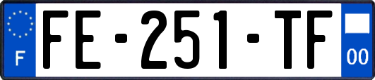 FE-251-TF