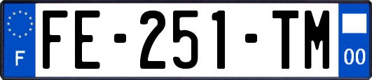 FE-251-TM