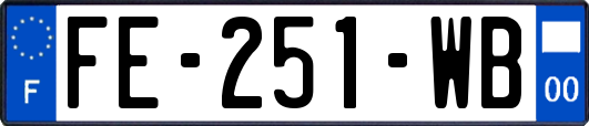 FE-251-WB