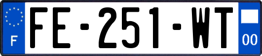 FE-251-WT
