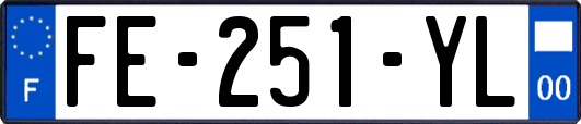 FE-251-YL