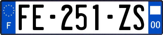 FE-251-ZS