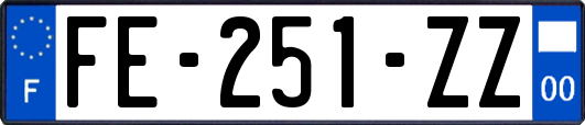 FE-251-ZZ