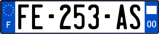 FE-253-AS