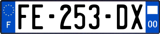 FE-253-DX