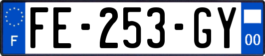 FE-253-GY