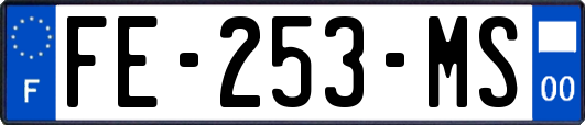 FE-253-MS