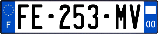 FE-253-MV